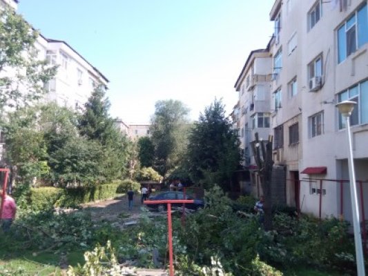 Desfăşurare de forţe la Medgidia: 13 locuinţe au fost inundate